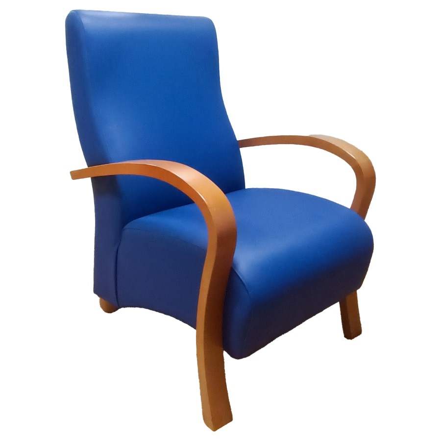 Sillón geriátrico modelo Ever