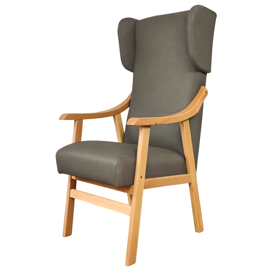 Sillón Geriátrico RESP. ALTO OREJERO D46 Arizona Ash Haya