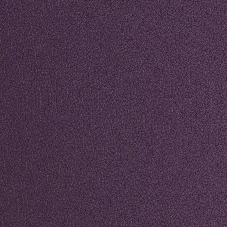Arizona Purple